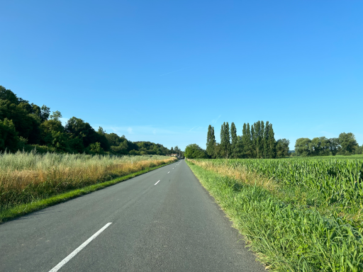 Straße nahe der Küste