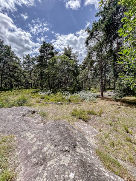Waldlandschaft mit Felsen, Bäumen und bewölktem Himmel.