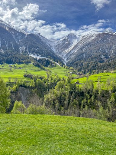 Grünes Alpental mit Wiesen, Wäldern und Bergen