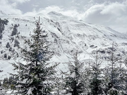 Verschneite Berglandschaft mit Nadelbäumen im Vordergrund