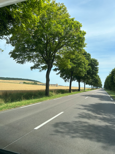 Landstraße mit Baumreihe in ländlicher Region Frankreichs