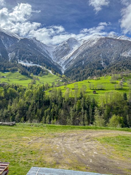 Schweizer Berge aus dem Zug Berglandschaft mit schneebedeckten Gipfeln und grünen Wiesen