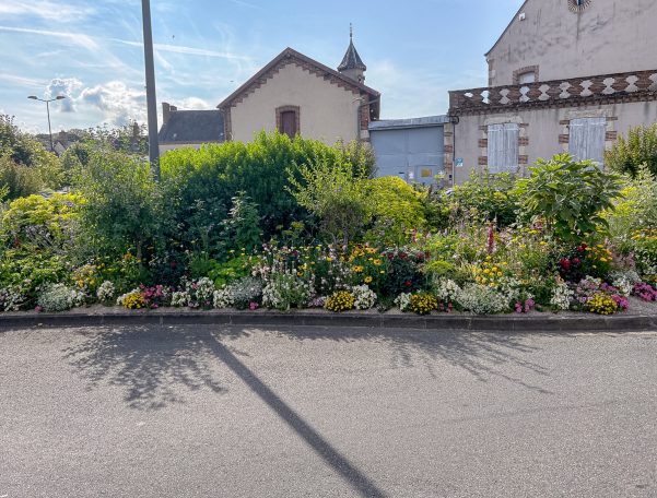 Bunte Blumenrabatte vor einer malerischen Kulisse von Häusern und Pflanzen.