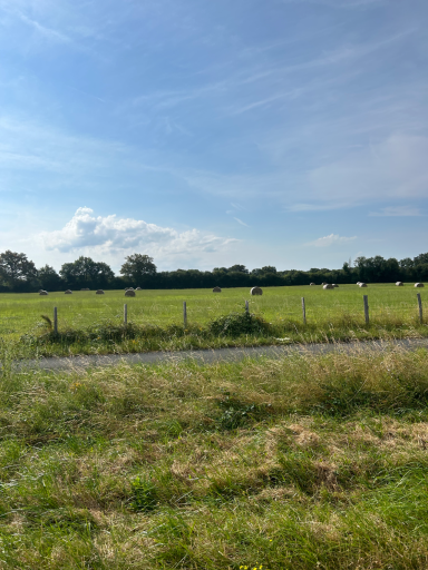 Grüne Wiese mit Zaun und Feldern im Hintergrund