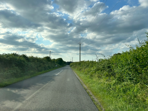 Schmale Straße mit Vegetation unter bewölktem Himmel
