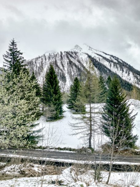 Schneelandschaft auf der Strecke Schneebedeckter Berg mit Nadelbäumen