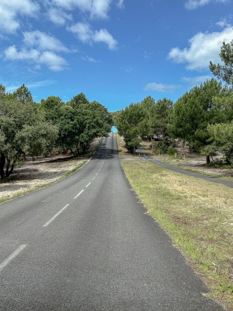 Eine gerade Straße, gesäumt von Bäumen, unter einem blauen Himmel mit einigen Wolken.