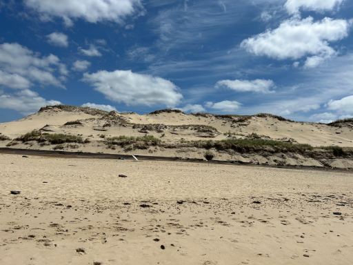 Sanddünen am Atlantikstrand bei Le Pin Sec