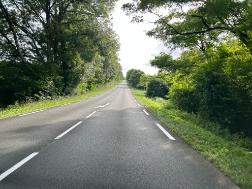 Landstraße durch bewaldete Gegend in Südwestfrankreich