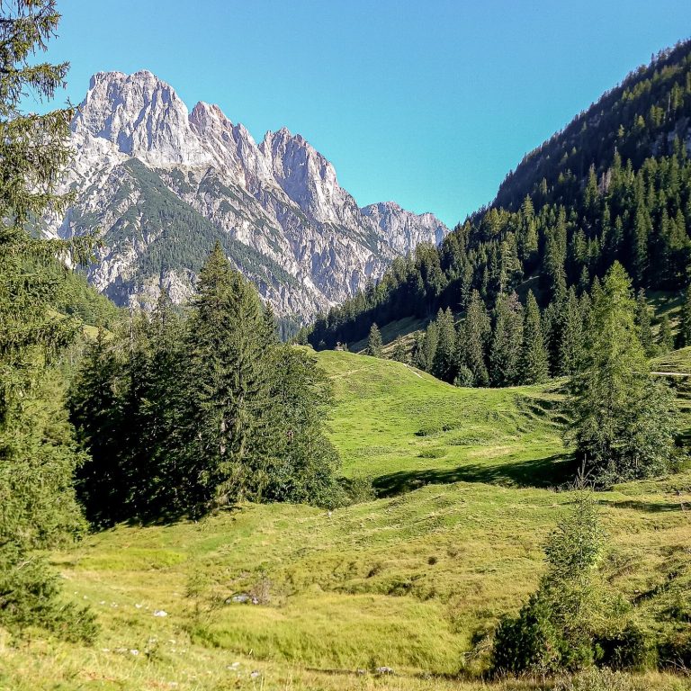 Almwiese an der BindalmLand Almwiese mit Weidefläche im Berchtesgadener Land