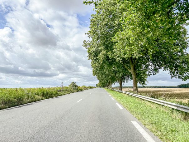 Landschaftsstraße mit Bäumen und Wolken am Himmel, grüne Felder im Hintergrund.