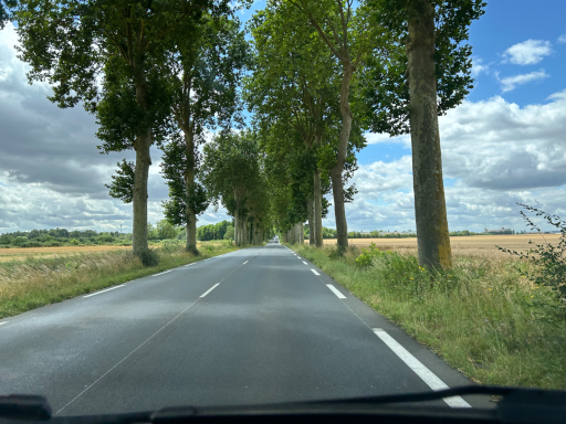 Landstraße mit hoher Baumreihe in ländlicher Region Frankreichs