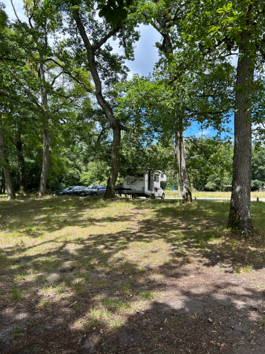 Wohnmobil auf schattigem Stellplatz zwischen Bäumen