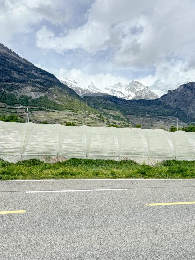 Tal mit landwirtschaftlichen Flächen und Bergen im Hintergrund