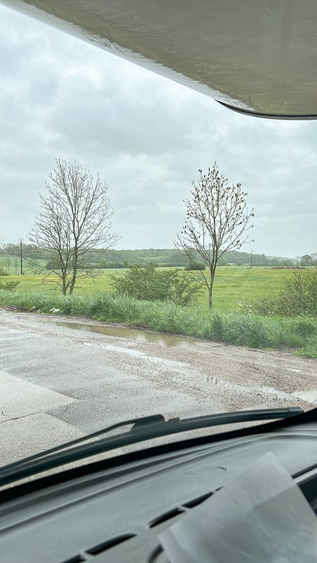 Kurze Pause in Frankreich Grüne Wiesen und Bäume in Frankreich unter bewölktem Himmel