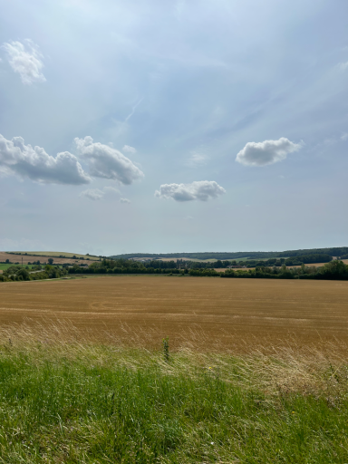Ackerlandschaft mit Feldern und leicht bewölktem Himmel