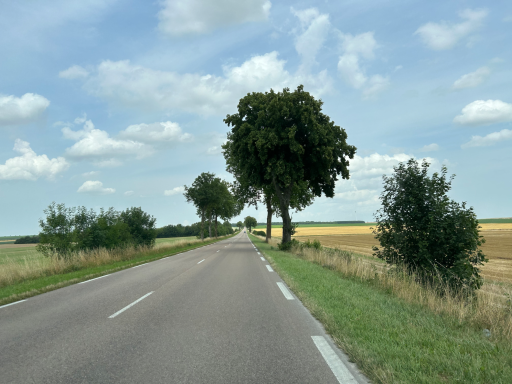 Gerade Straße mit Baum in ländlicher Umgebung Frankreichs