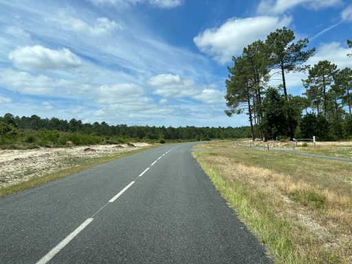 Straße durch Heidelandschaft nahe der Atlantikküste